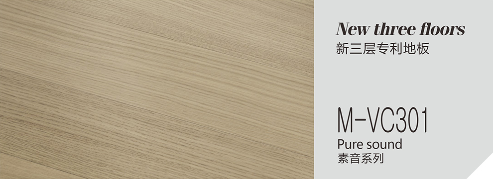 M-VC301  素音系列