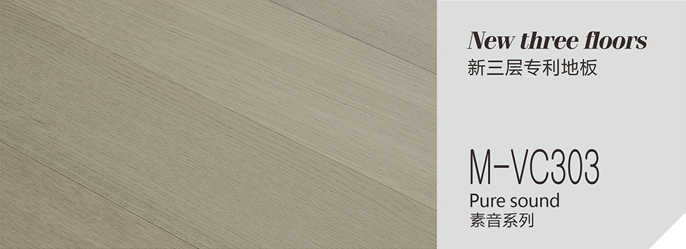 M-VC303  素音系列