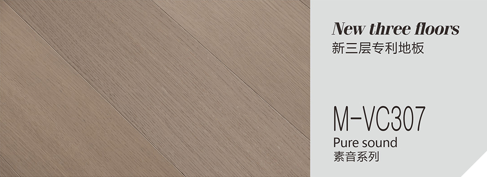 M-VC307  素音系列